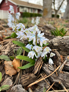 Spring